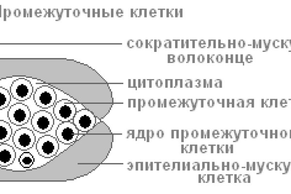 Мега обменник не переводит деньги