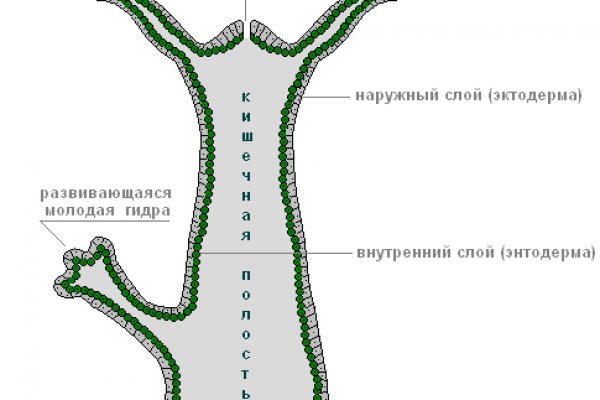 Актуальные ссылки на кракен