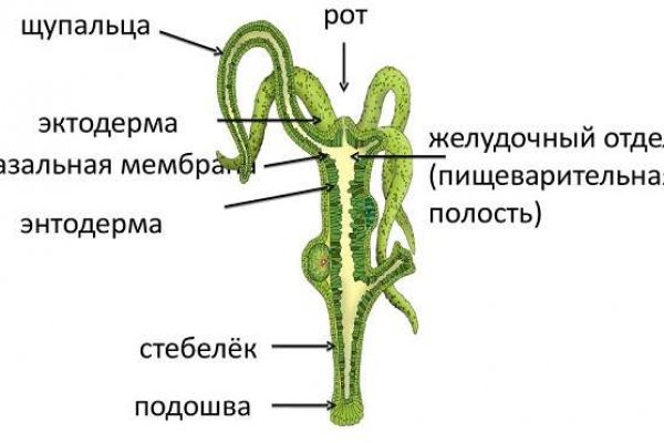 BlackSprut магазин закладок