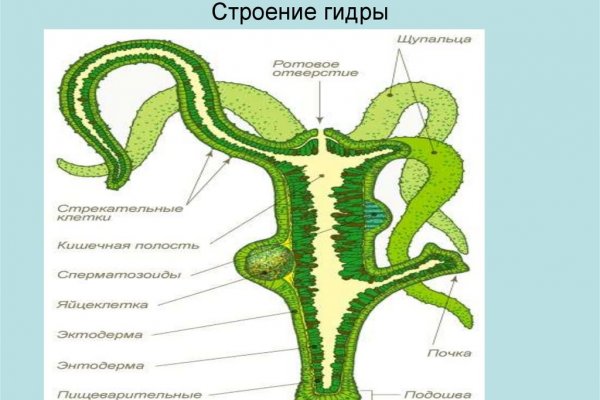 Кракен оригинал