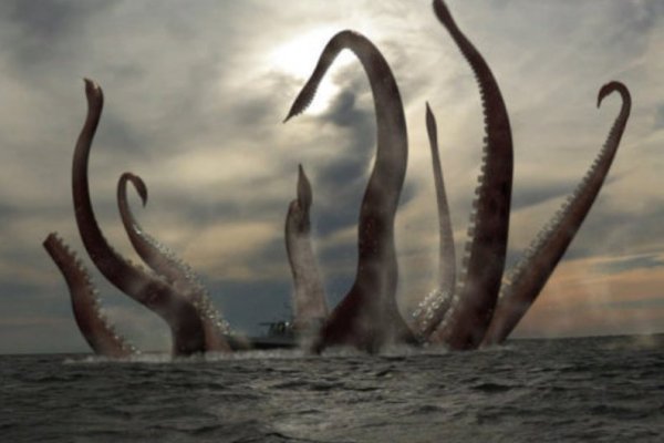 Kraken ссылка на сайт тор браузере